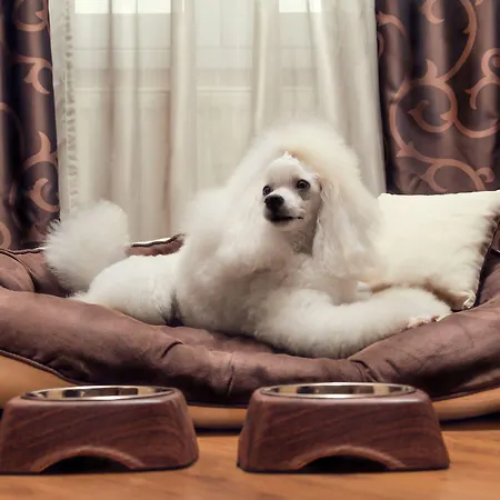 City Residence Apartment Hotel קושיצה